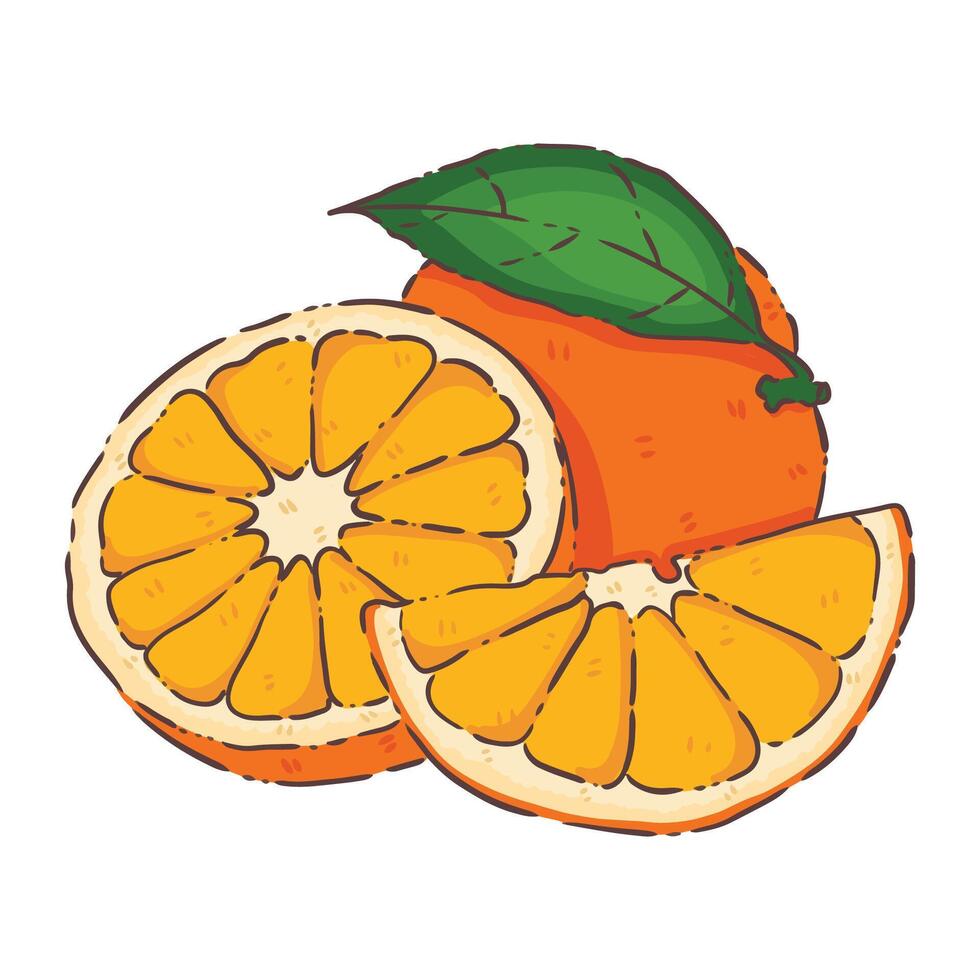 Orange fruit food vecter vector