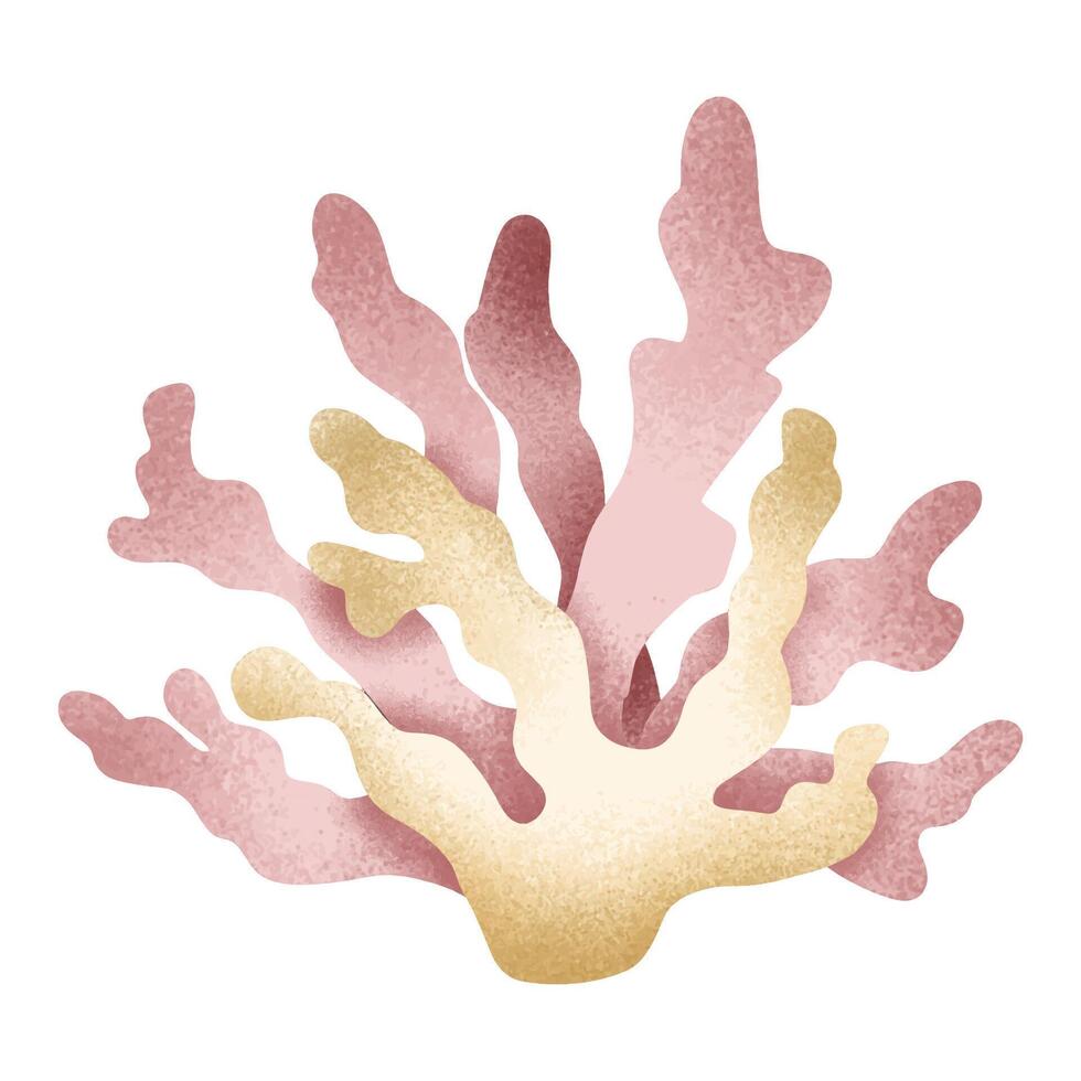 coral sea isolate vector