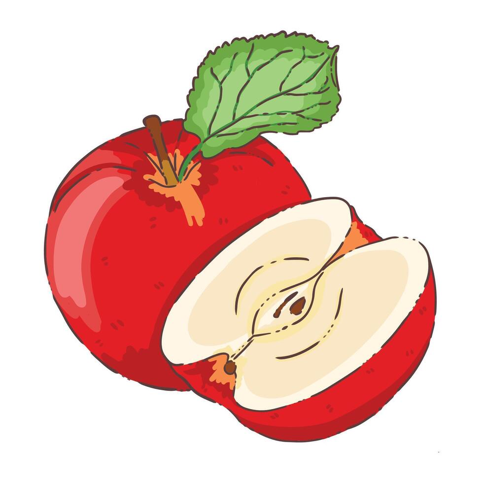 vegetable vecter apple vector