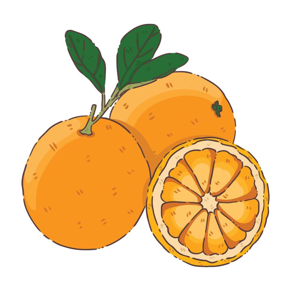 Orange fruit food vecter isolate vector