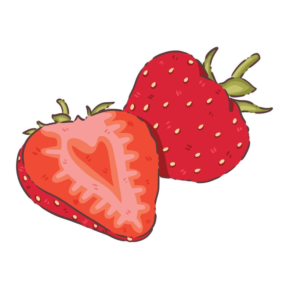 strawberry fruit food vegetable vector