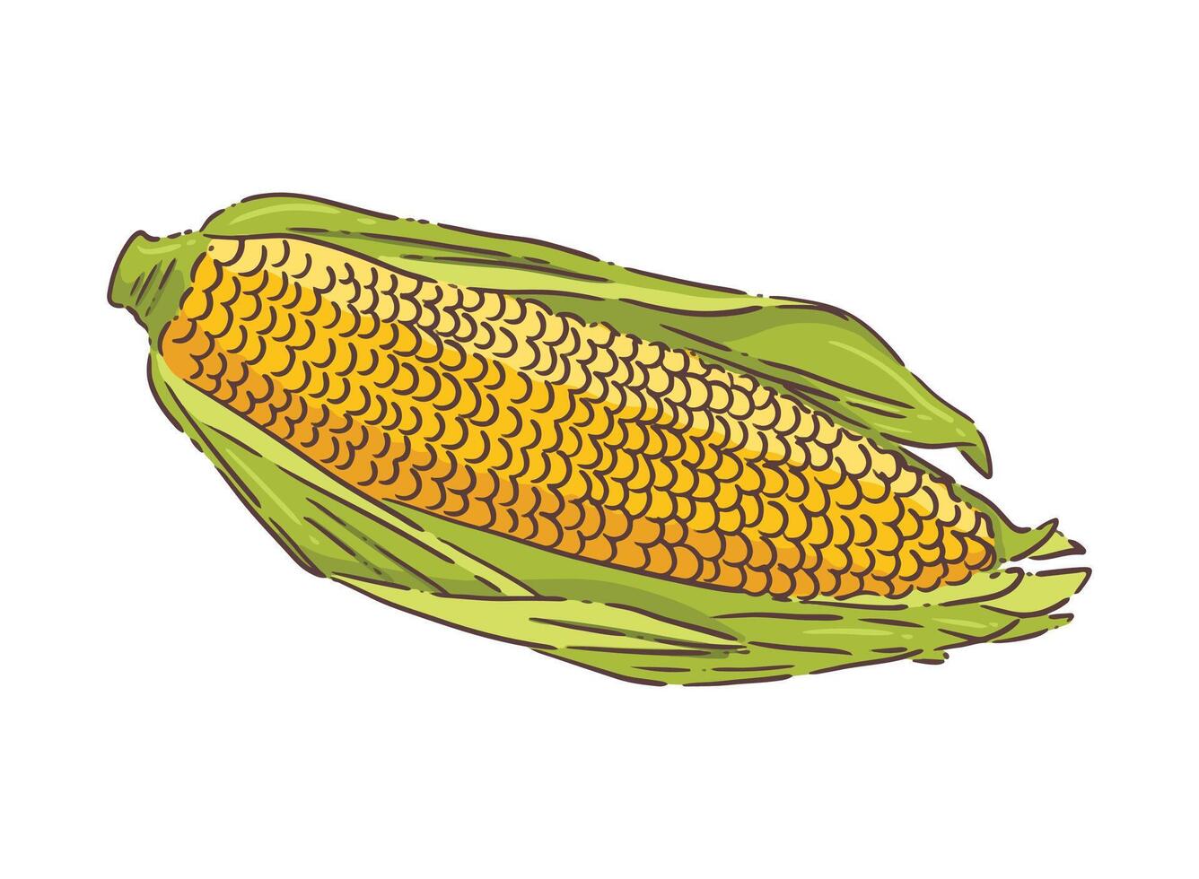 corn food vegetable vector