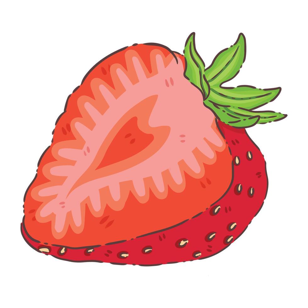 strawberry food fruit vector