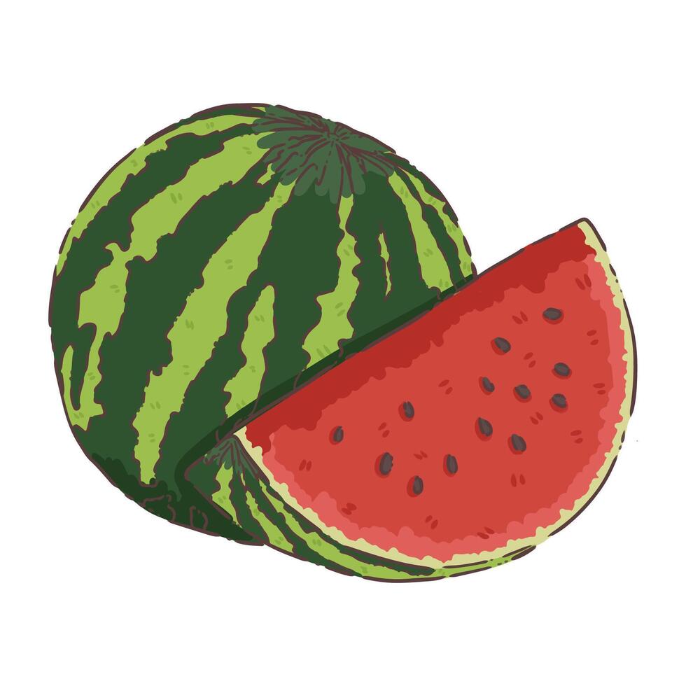 waterlemon fruit food vector