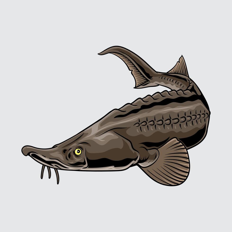 Sturgeon fish simple isolated cartoon illustration with light background vector