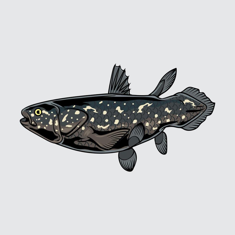 Coelacanth fish simple isolated cartoon illustration with light background vector