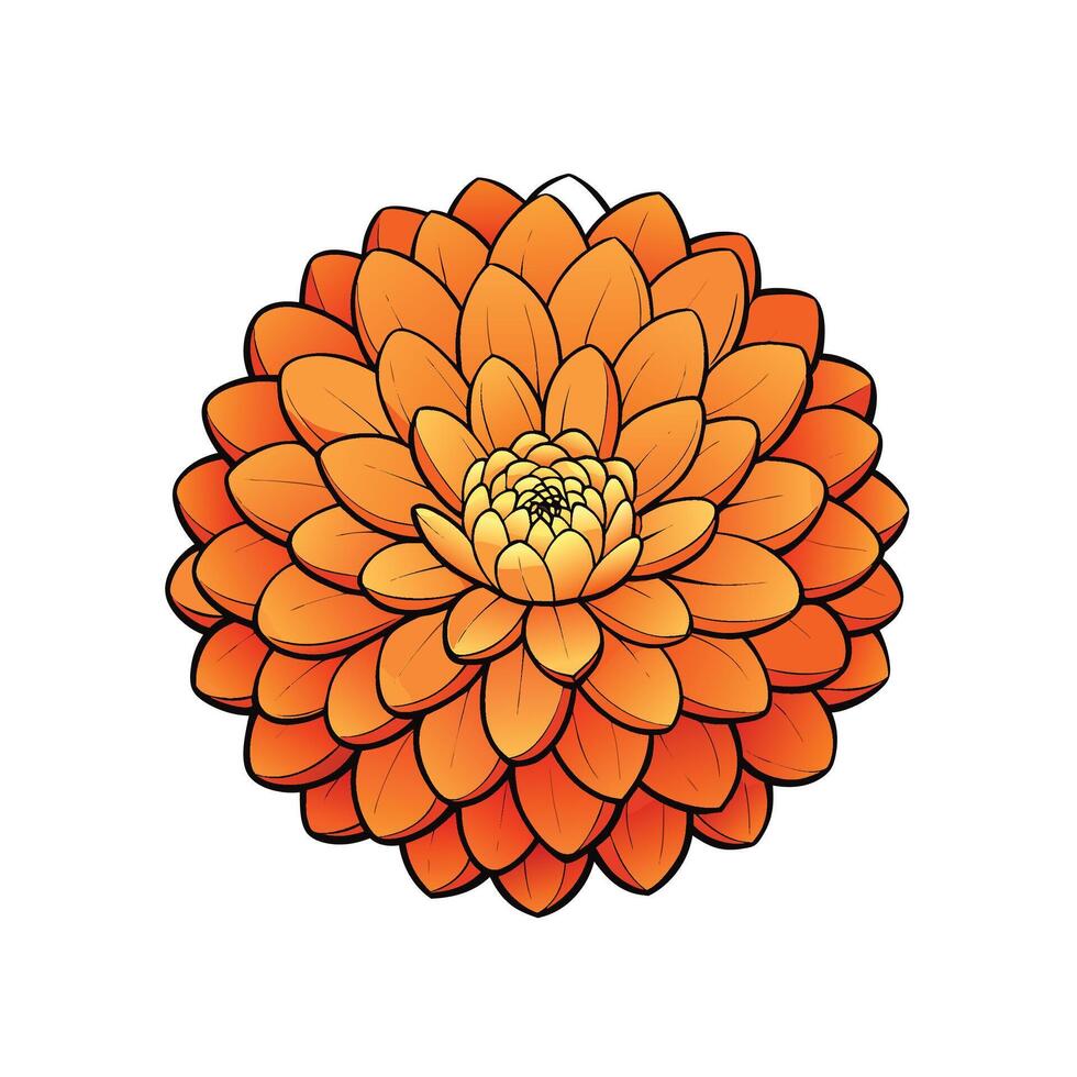 Vibrant orange dahlia flower graphic with bold black outlines vector