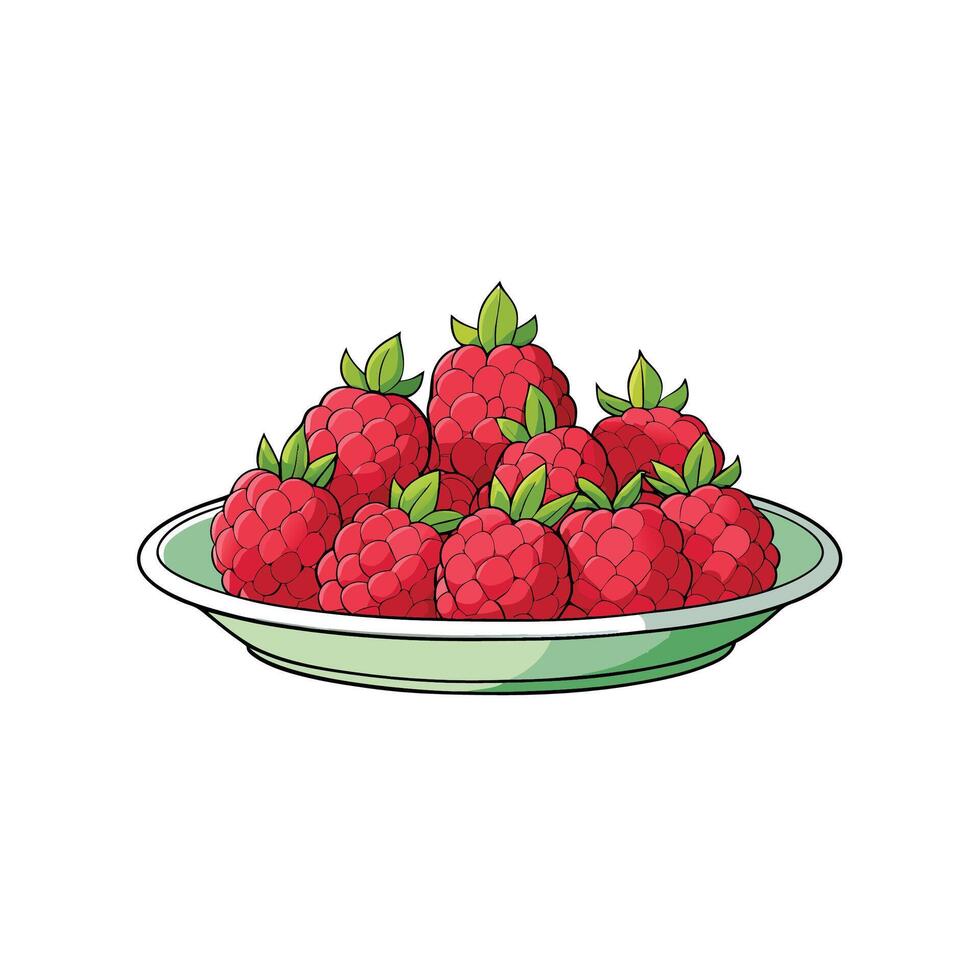 Ripe raspberries displayed on light green plate, isolated shot vector