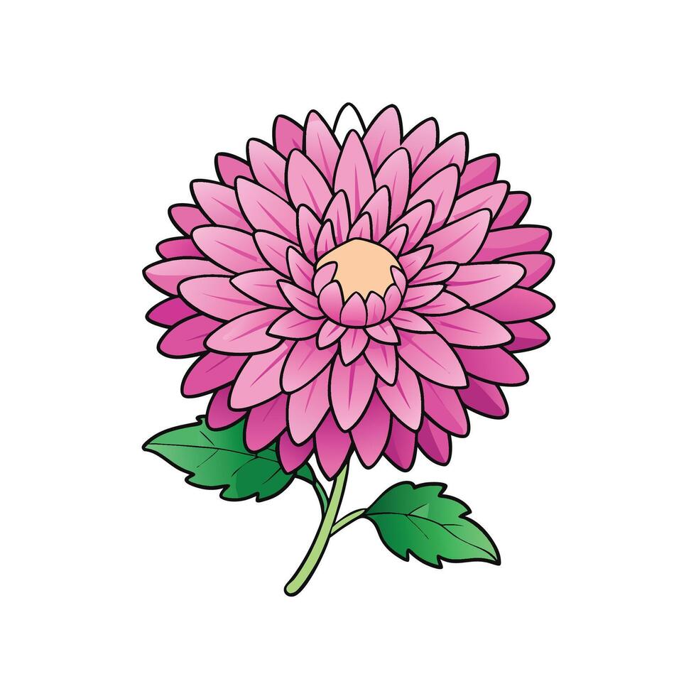 Stylized pink dahlia flower illustration with green stem and leaves vector