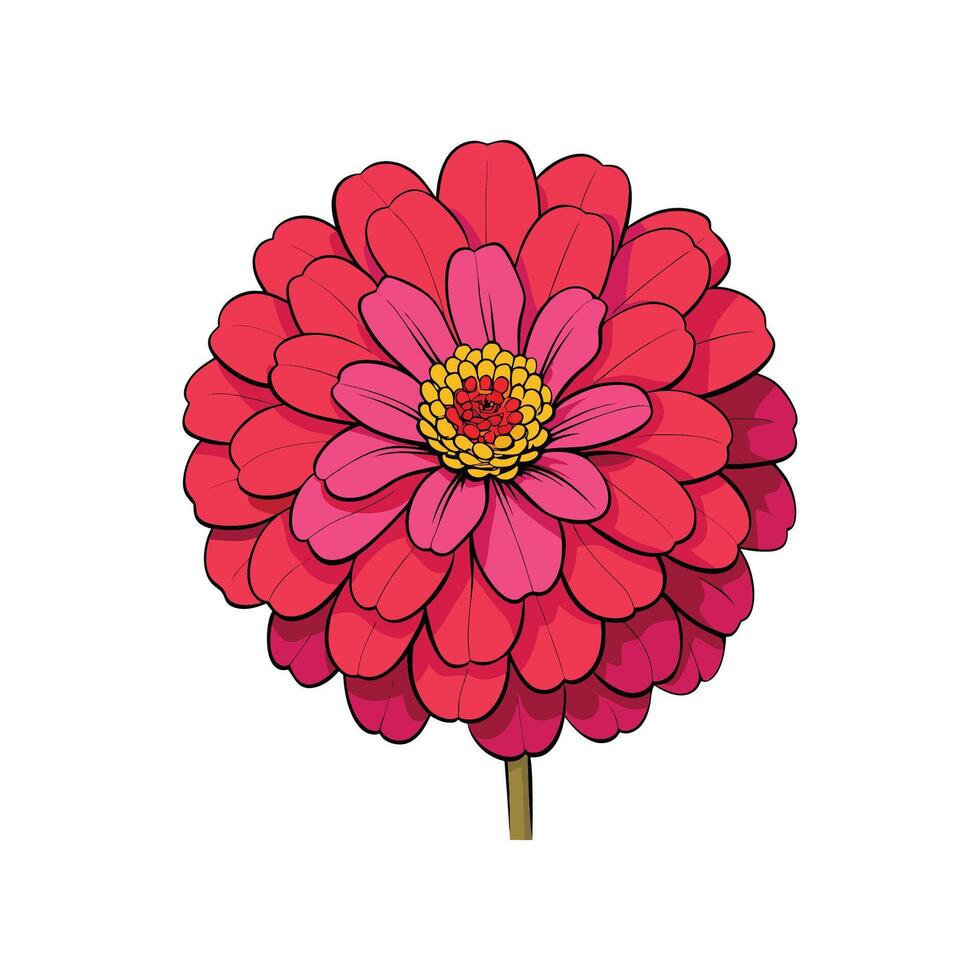 Stylized Zinnia Flower Illustration with Bold Outlines on White vector