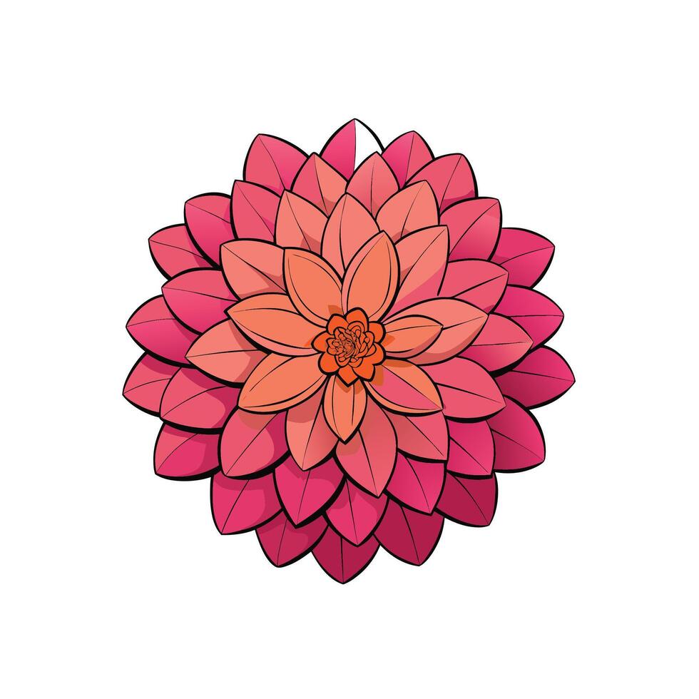 Vibrant flower blossom in pink and orange hues isolated vector