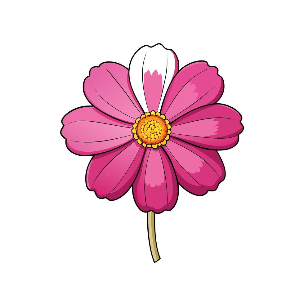 Pink cosmos flower illustration with a yellow center and stem vector