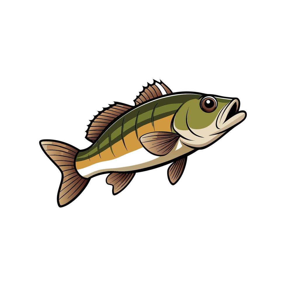Cartoon Largemouth Bass Isolated on White Background Illustration vector
