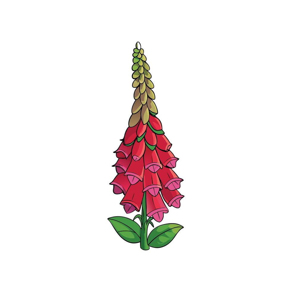 Digital foxglove illustration with green stem and red blooms vector