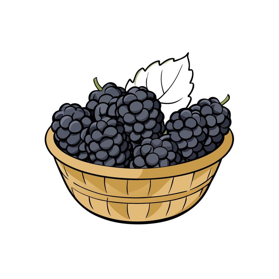 Handdrawn style basket with mulberries and green leaf vector