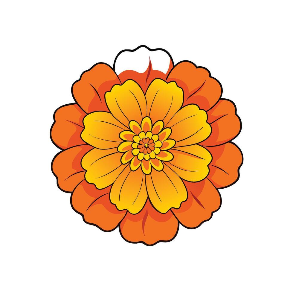 Vibrant orange and yellow marigold flower in flat illustration vector