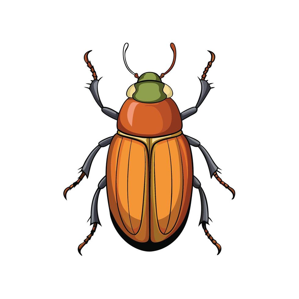 Illustration of a tan beetle with green head on white vector