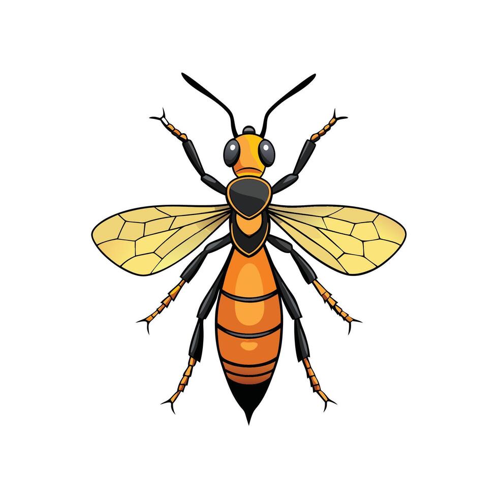 Cartoon Wasp Illustration on White Background Detailed Insect Image vector