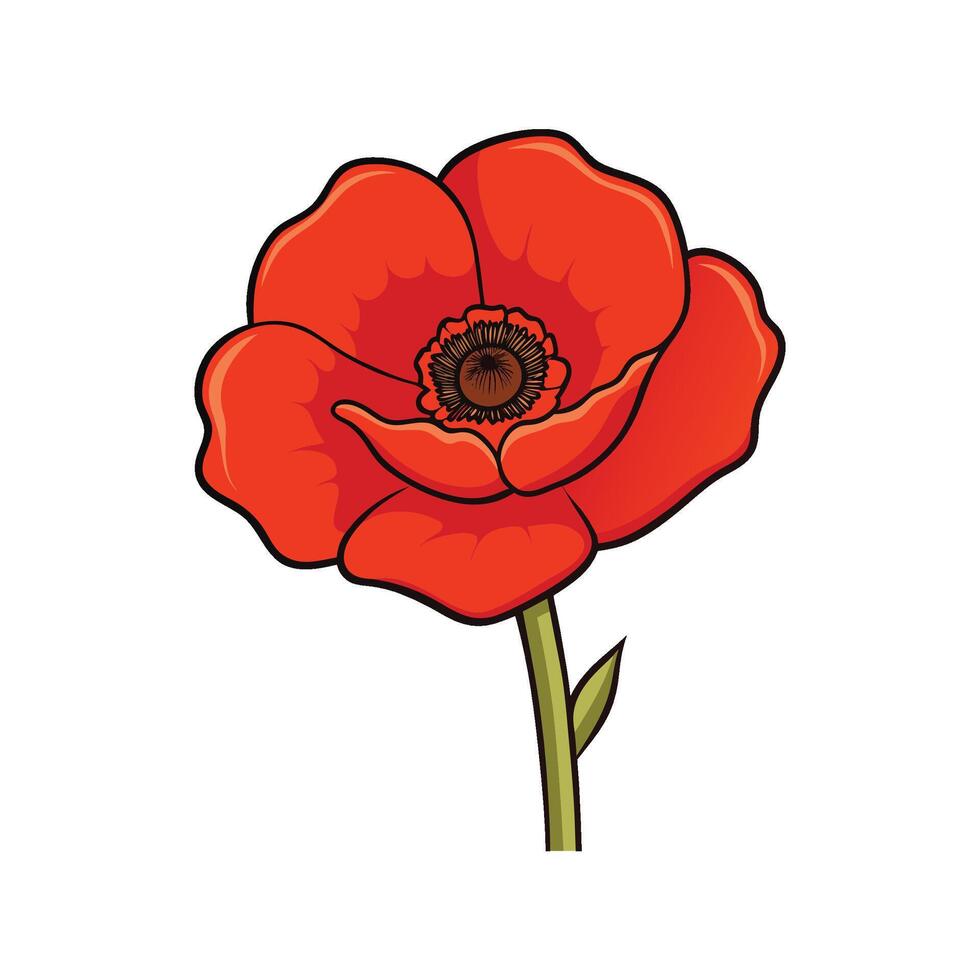 Red Poppy Flower Illustration with Black Outline on White vector
