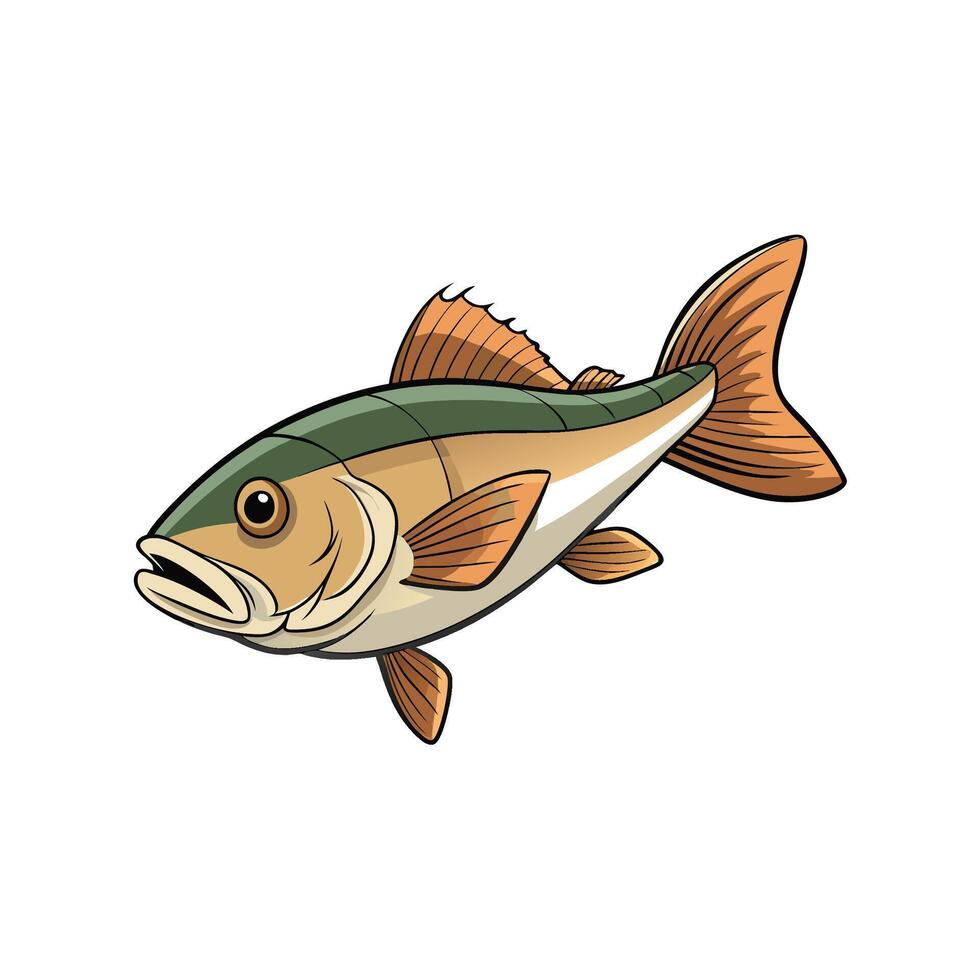 Cartoon fish illustration on white background for any purpose vector