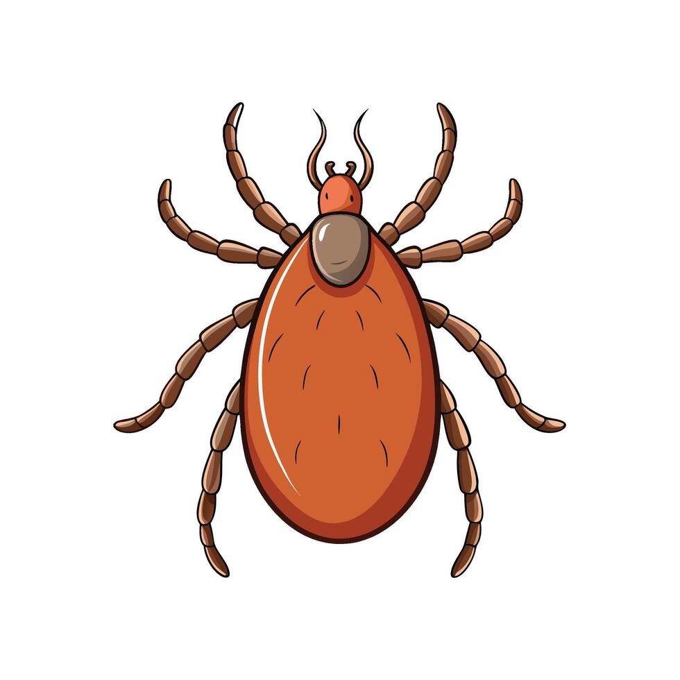Isolated cartoon tick parasite illustration against a white background vector