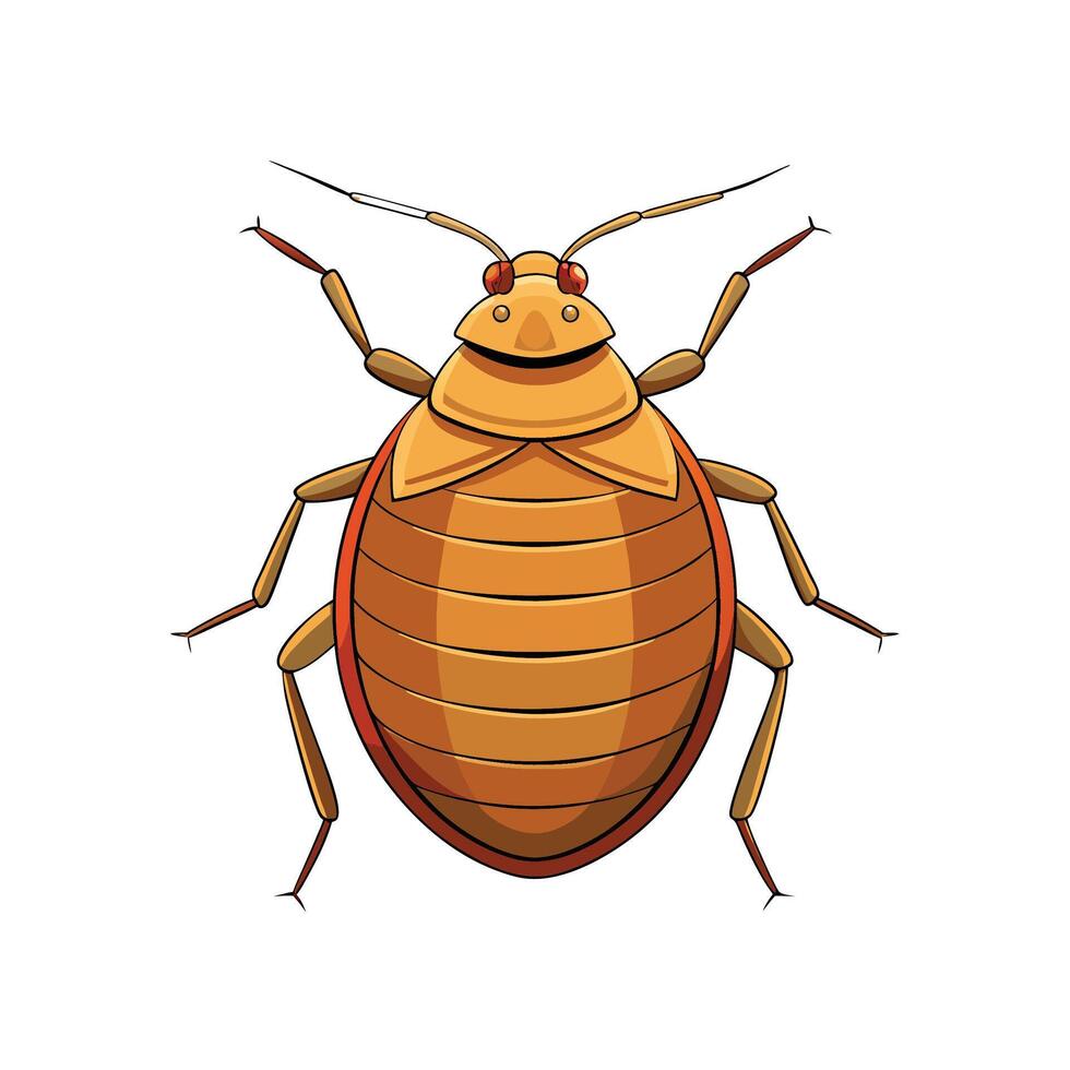 Cartoon style brown insect illustration on a white background vector