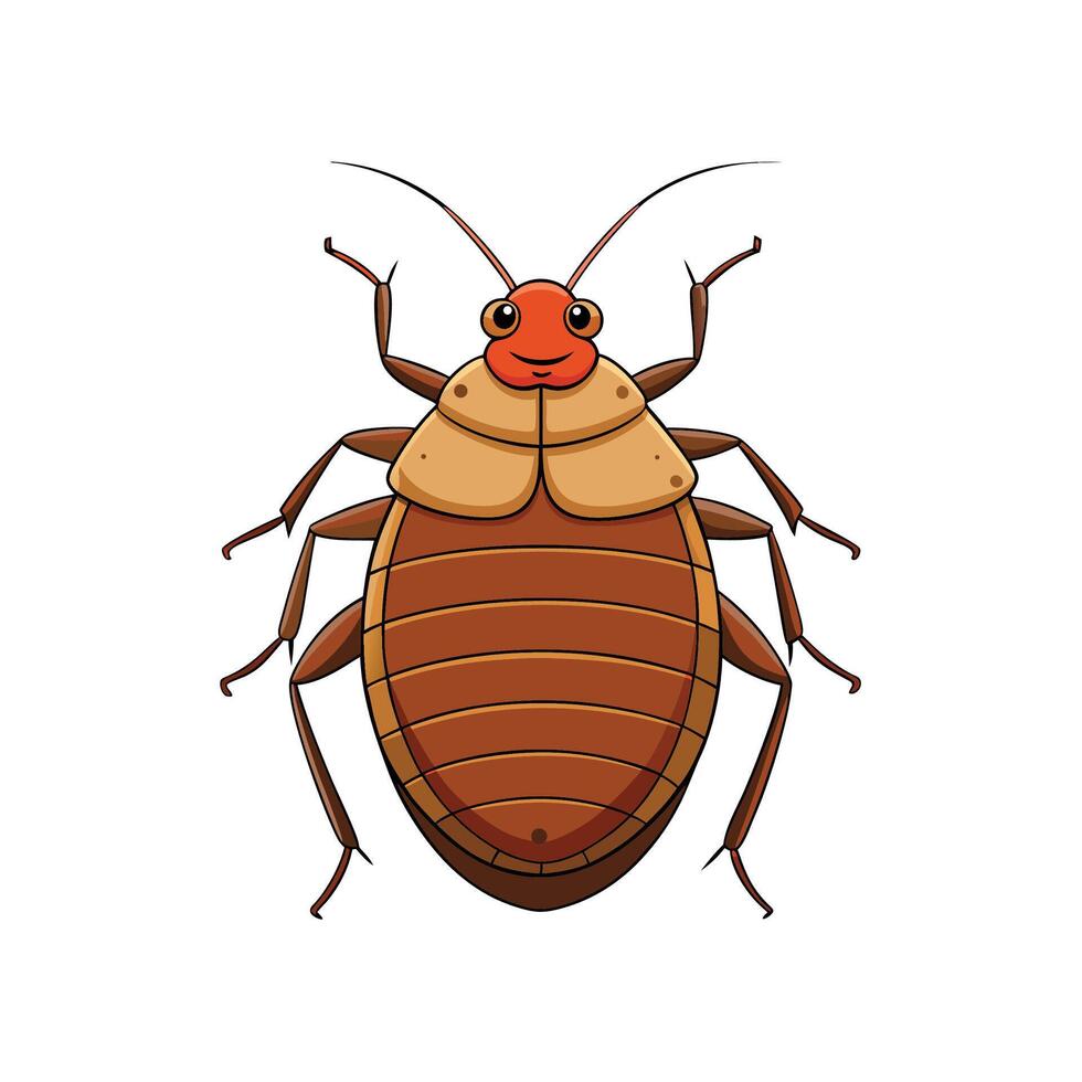Cartoon bed bug illustration, isolated on a white background vector