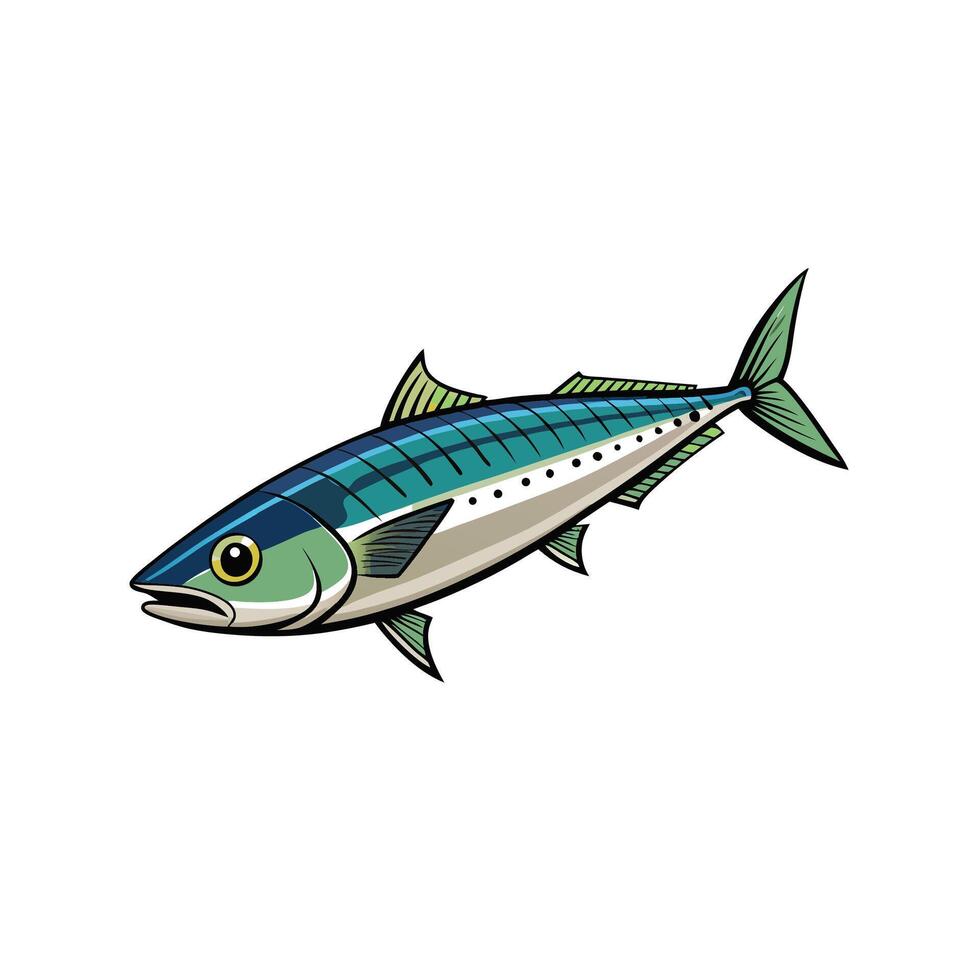 Illustration of a detailed Mackerel fish on white background vector