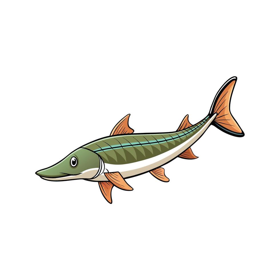 Cartoon pike fish illustration with bold outlines and colors vector