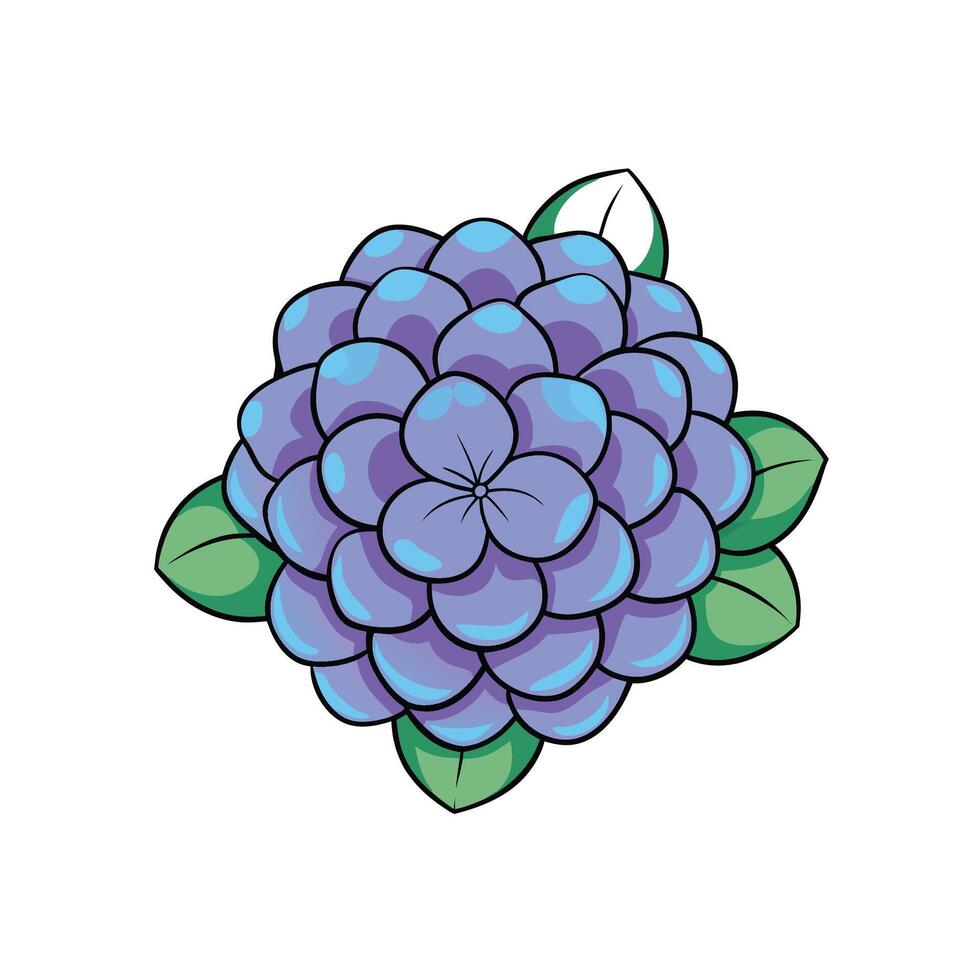 Stylized blue hydrangea bloom with green leaves illustration vector