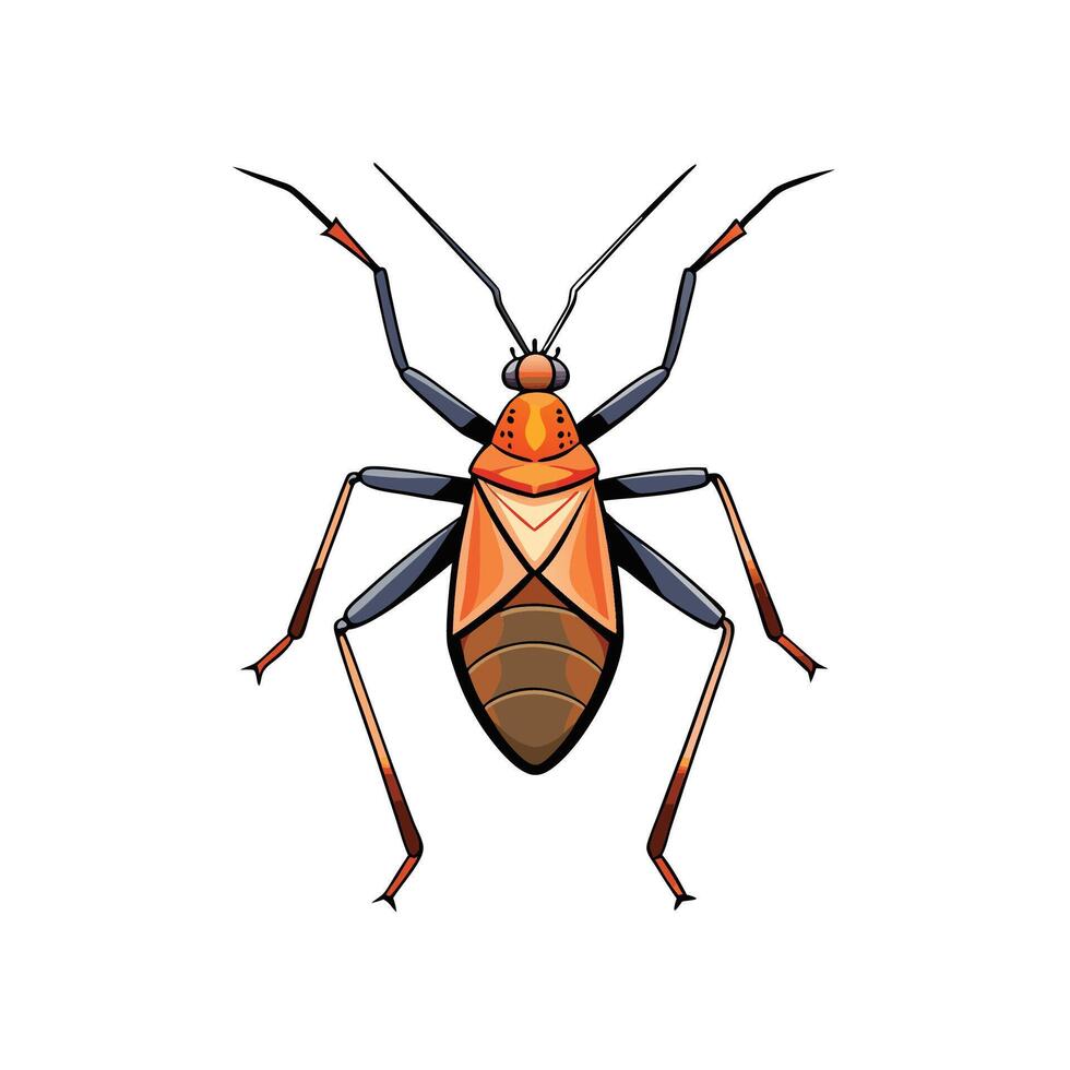 Cartoon illustration of a flat leaffooted bug isolated vector