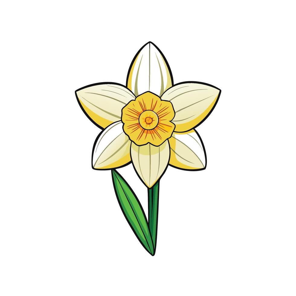 Isolated Daffodil flower graphic with leaf on white background vector