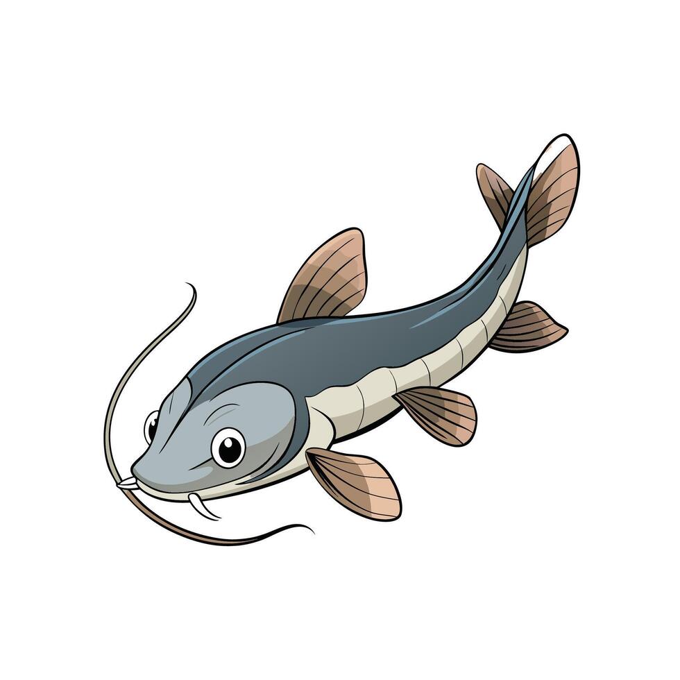Cartoon catfish illustration with various fins and whiskers vector