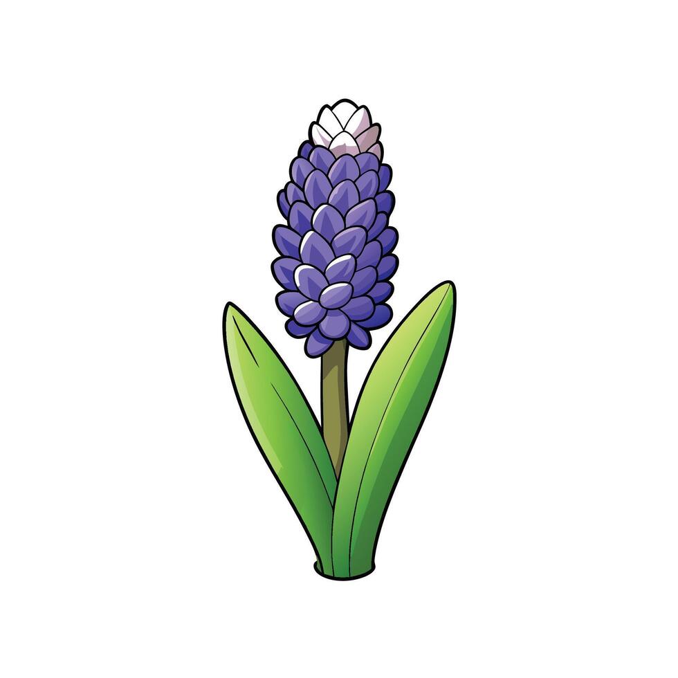 Cartoon style purple hyacinth flower on stem with leaves vector