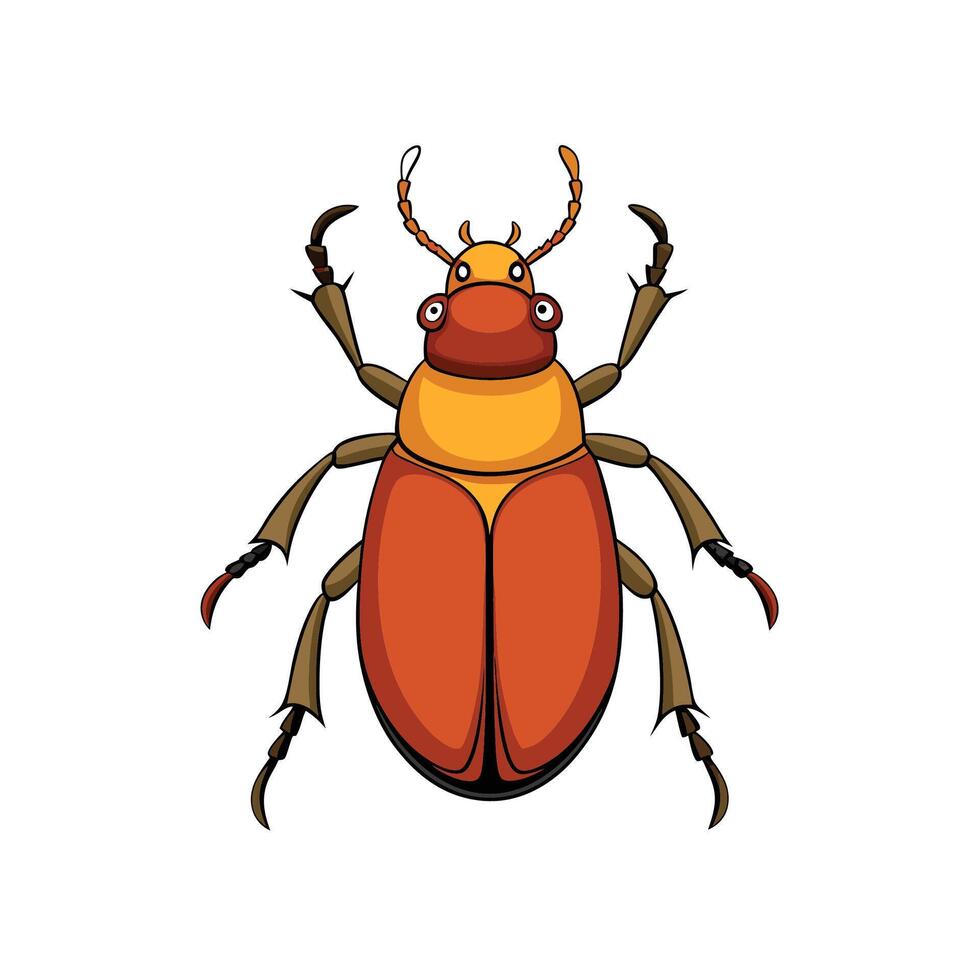Stylized drawing of a colorful beetle on white background vector