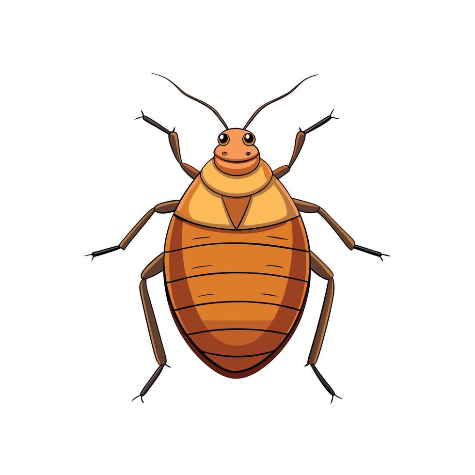 Cartoon brown bed bug isolated on a white background vector