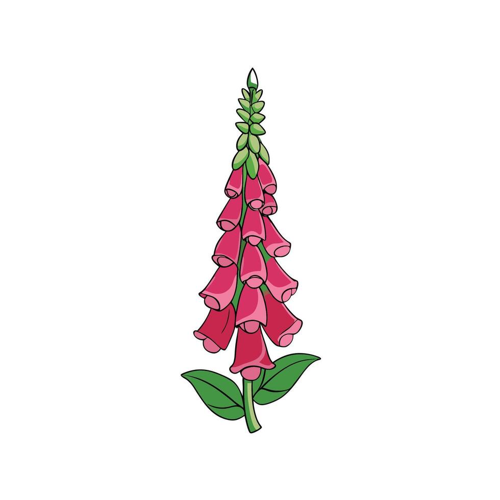 Cartoon illustration of vibrant foxglove flower isolated on white vector