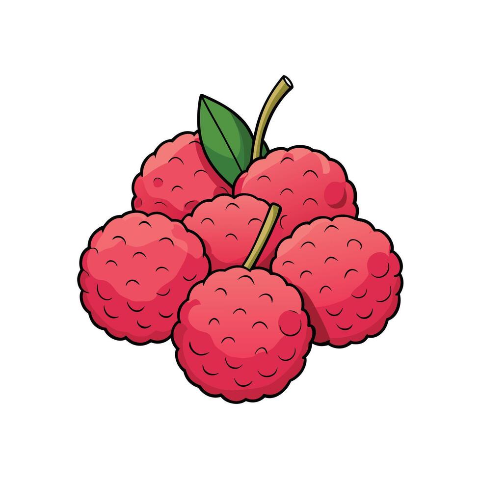 Group of fresh lychee fruits with leaf and stem vector