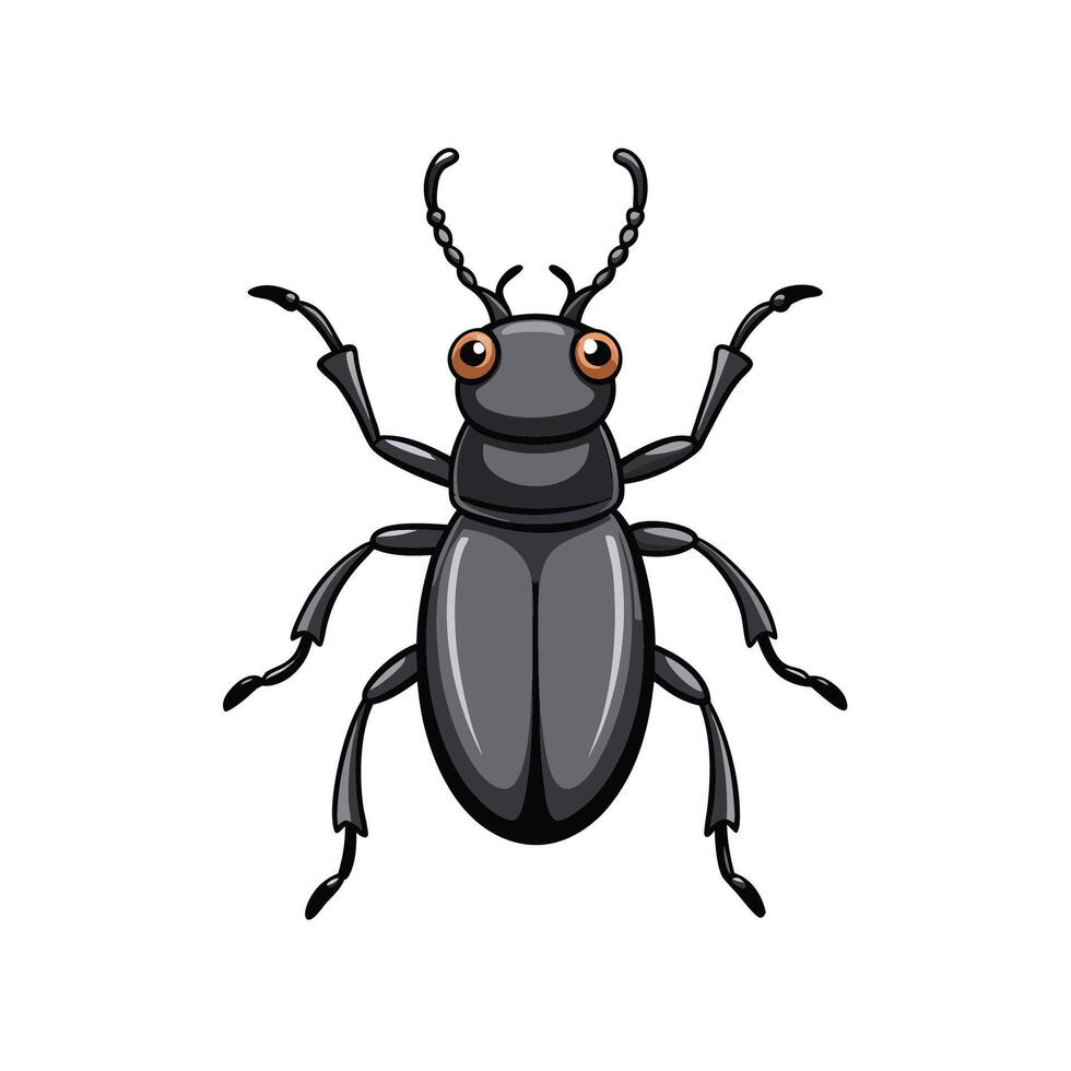 Isolated cartoon illustration of a black beetle on white vector