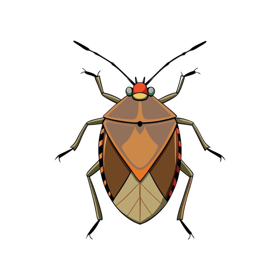 Stylized cartoon shield bug illustration on white background vector