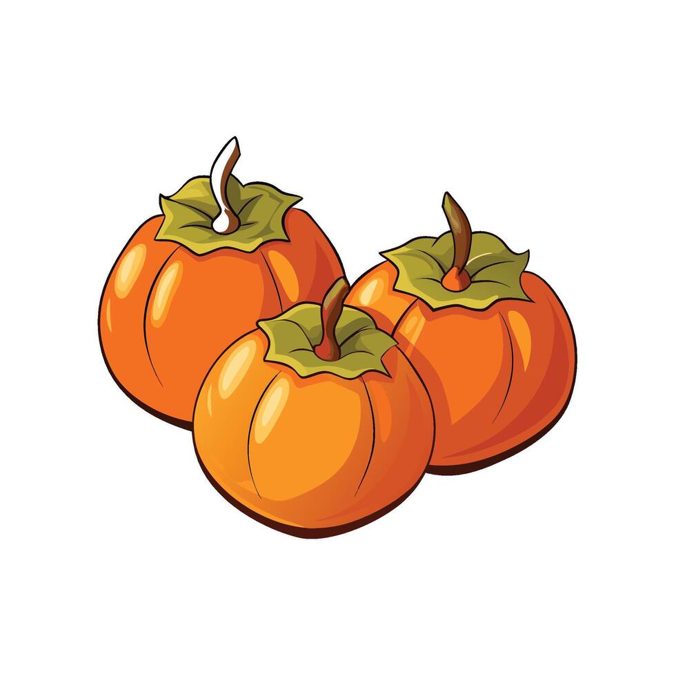 Three cartoon persimmons with stem and leaf on white vector