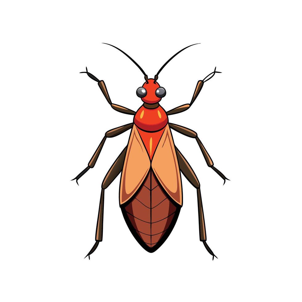 Cartoon insect illustration featuring seed bug on white background vector