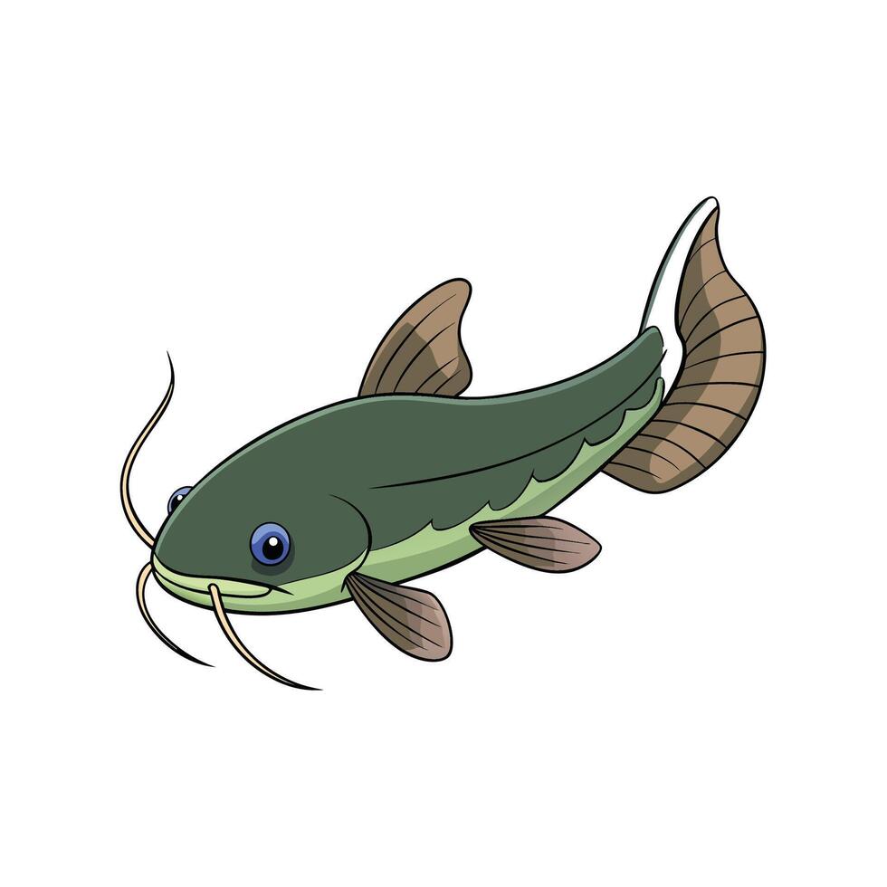 Cartoon Catfish Illustration Isolated on White Background vector