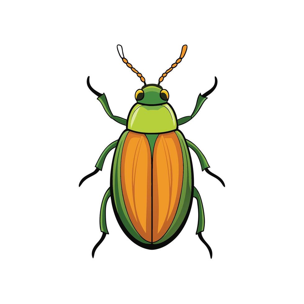 Isolated green and orange beetle illustration on white background vector