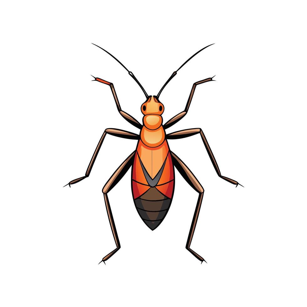 Illustration of colorful bug with long antennas and legs vector