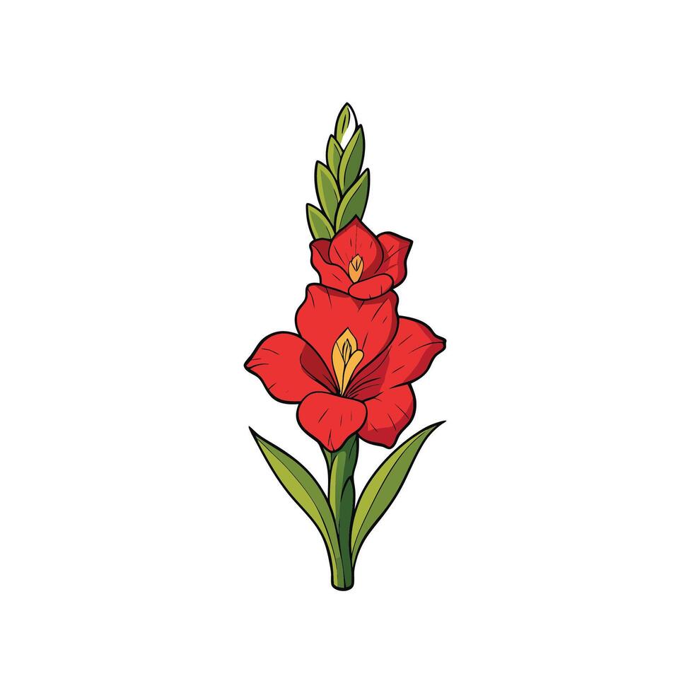Stylized gladiolus flower illustration with red petals and green leaves vector