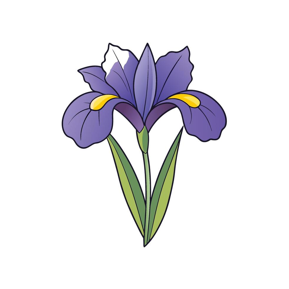 Isolated graphic illustration of a stylized iris flower on white vector