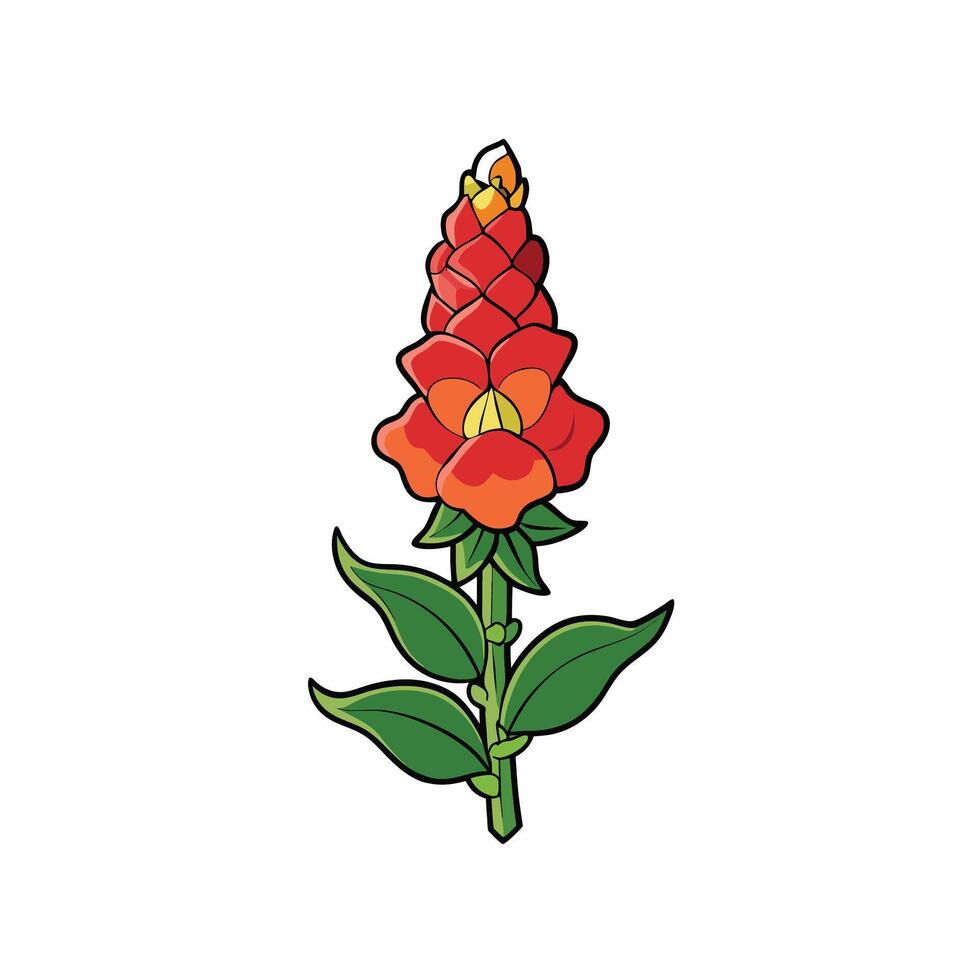 Stylized illustration of a flowering ginger plant isolated on white vector