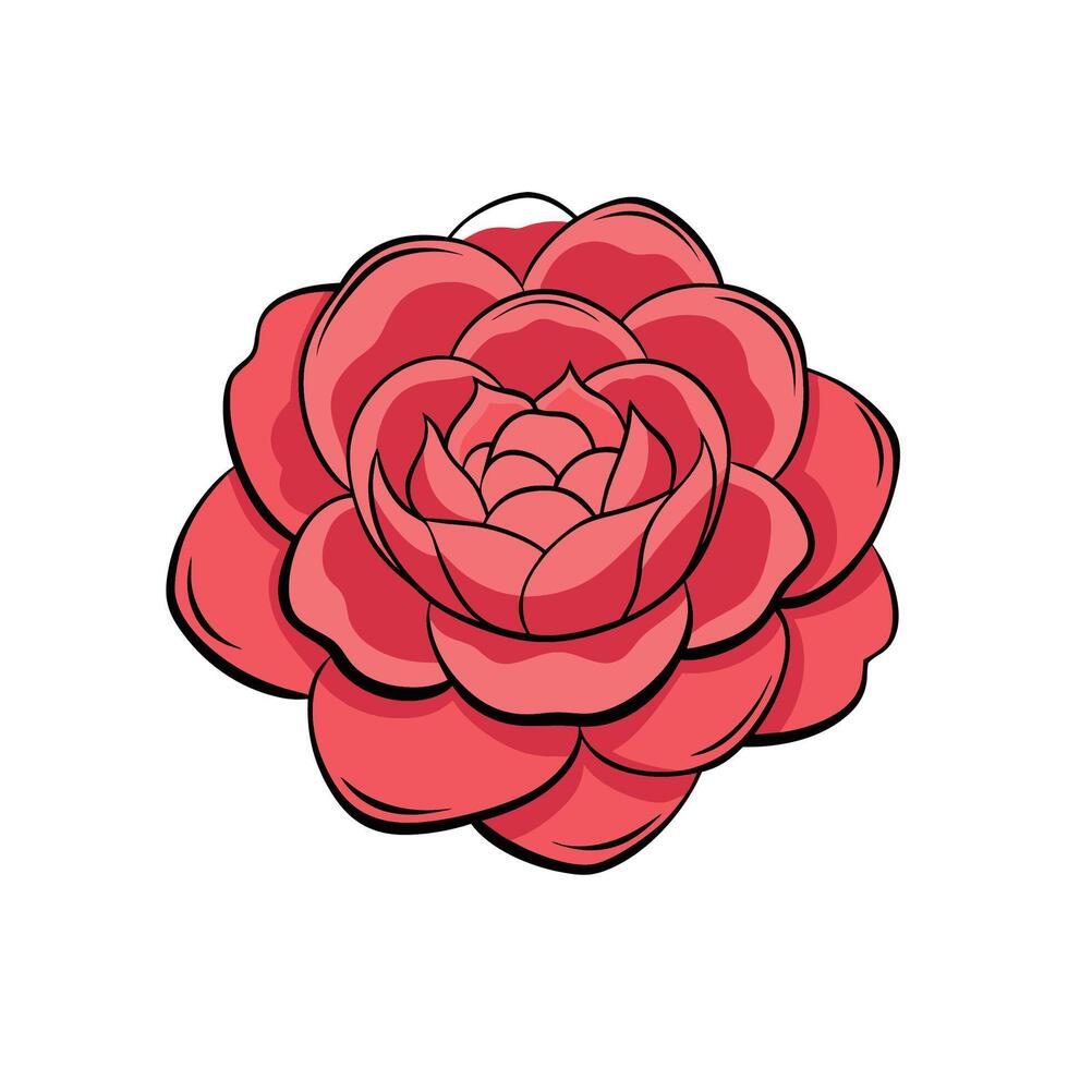 Coral rose blossom illustration with dark outline on white vector