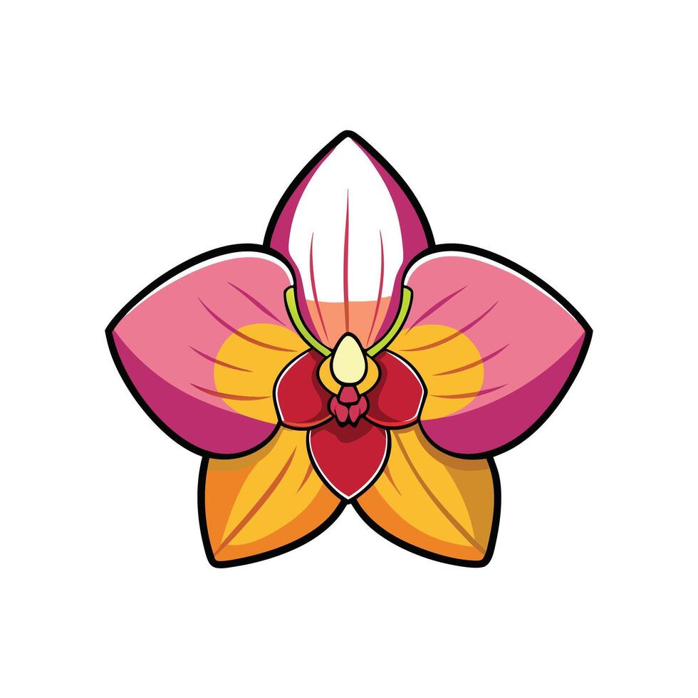 Bold orchid illustration isolated on white for stock purposes vector
